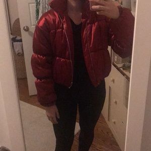 PLT cropped puffer